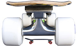 GFH - Native 26.5 Inch