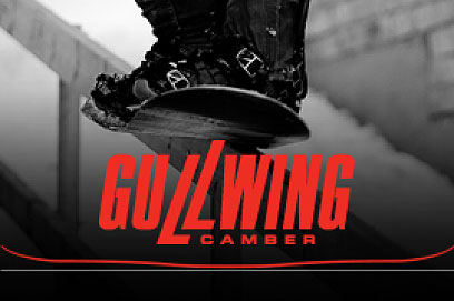 Nitro - Team Gullwing 10/11