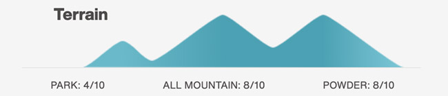 Burton Flight Attendant Terrain Graphic