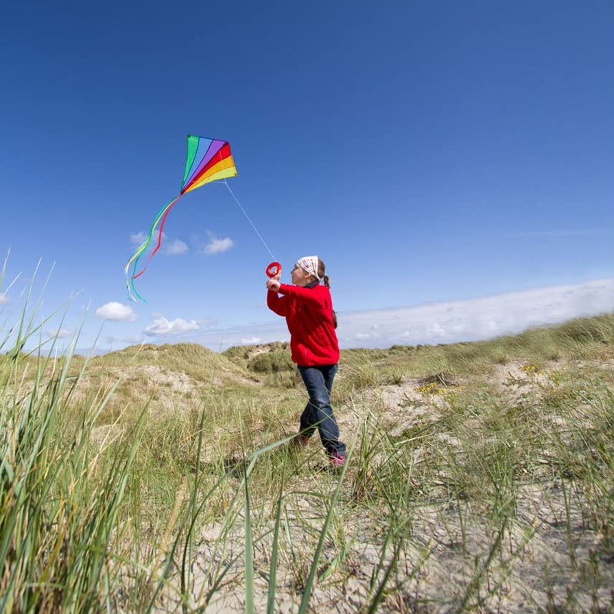 HQ Eddy Rainbow 70cm Kite Flying