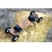 MBS Comp 95 Mountainboard