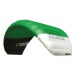 PLKB Hornet V Power Kite 4m Green