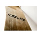 Colab Mountainboard Deck Top