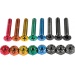 Enjoi Little Buddies Rainbow Skate Bolts 1in