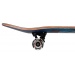 Birdhouse Stage 3 Hawk Birdman Blue 8.0 Complete Skateboard