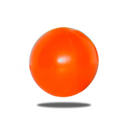 Coolboard Classic Balance Board Ball