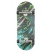 Skull Alligator Pro 34mm Complete Fingerboard