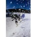Rome Viper Mens Directional Twin Snowboard 2027