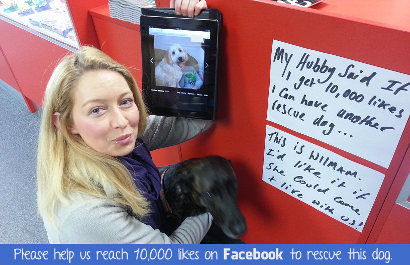 Help Diana & The ATBShop Skatepark team save another dog by liking them on Facebook.